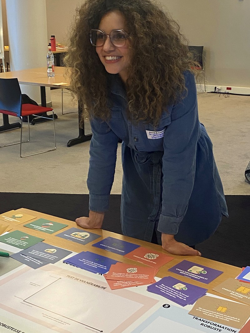 Facilitateurs de l'Atelier de la Robustesse en action